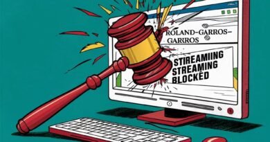 La justice française lutte contre les sites de streaming illégaux